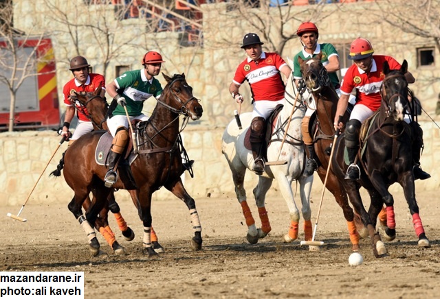 ????????????????????????????????????