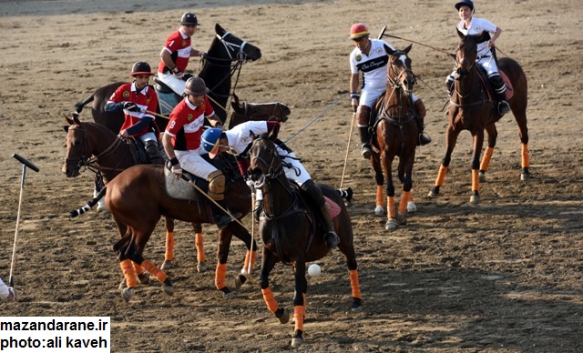 ????????????????????????????????????