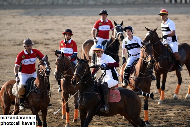 ????????????????????????????????????