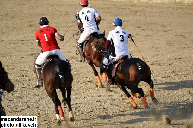 ????????????????????????????????????