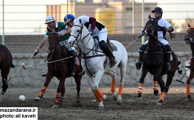 ????????????????????????????????????