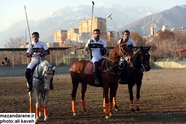 ????????????????????????????????????