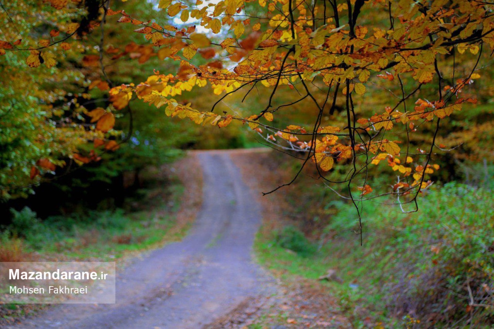 photo ۲۰۱۷ ۱۲ ۱۸ ۱۹ ۵۴ ۵۱