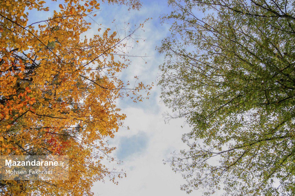 photo ۲۰۱۷ ۱۲ ۱۸ ۱۹ ۵۴ ۵۸