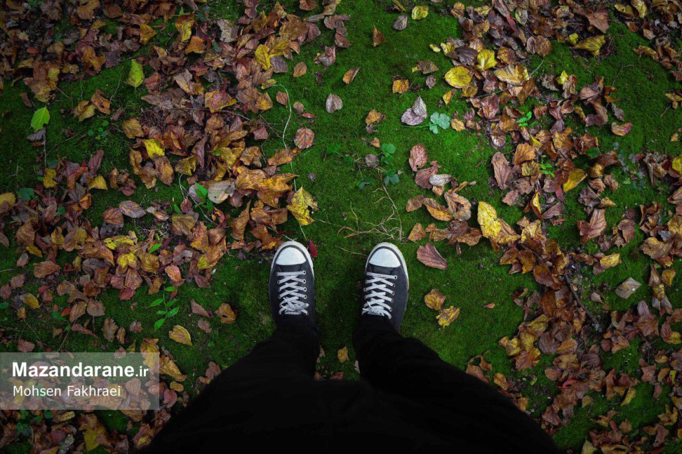 photo ۲۰۱۷ ۱۲ ۱۸ ۱۹ ۵۵ ۰۳