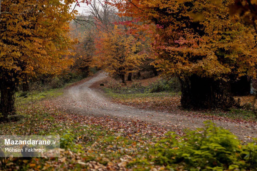 photo ۲۰۱۷ ۱۲ ۱۸ ۱۹ ۵۵ ۱۴