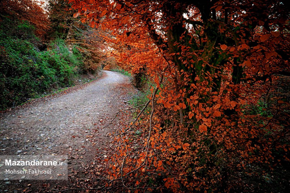 photo ۲۰۱۷ ۱۲ ۱۸ ۱۹ ۵۵ ۲۴