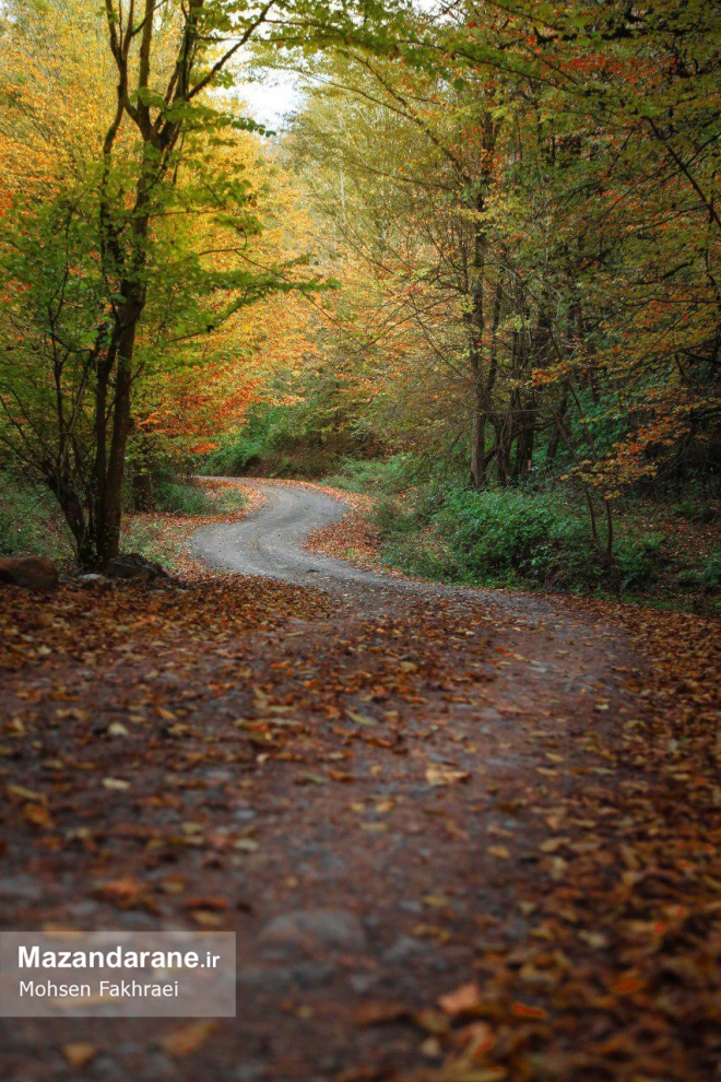 photo ۲۰۱۷ ۱۲ ۱۸ ۱۹ ۵۵ ۳۵