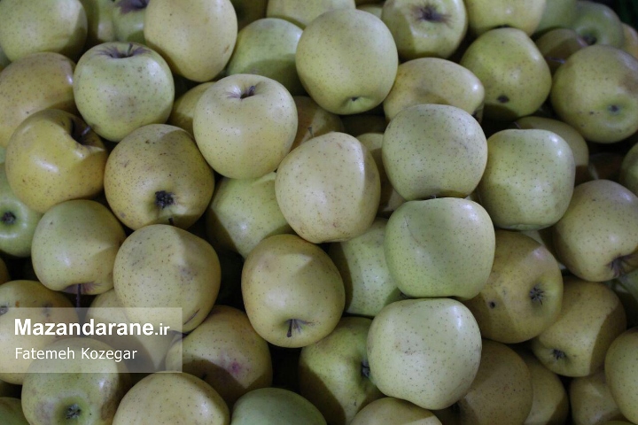 photo ۲۰۱۷ ۱۲ ۲۰ ۱۹ ۰۲ ۲۳ photo ۲۰۱۷ ۱۲ ۲۰ ۱۹ ۰۲ ۲۳