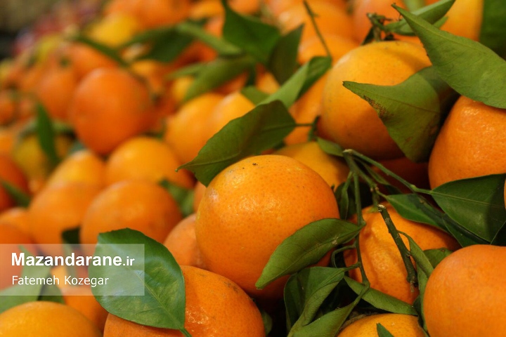 photo ۲۰۱۷ ۱۲ ۲۰ ۱۹ ۱۲ ۰۱ photo ۲۰۱۷ ۱۲ ۲۰ ۱۹ ۱۲ ۰۱