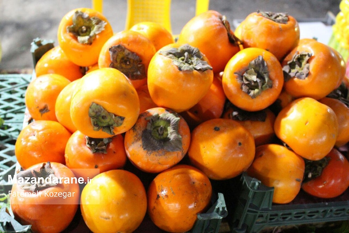 photo ۲۰۱۷ ۱۲ ۲۰ ۱۹ ۱۲ ۰۷ photo ۲۰۱۷ ۱۲ ۲۰ ۱۹ ۱۲ ۰۷