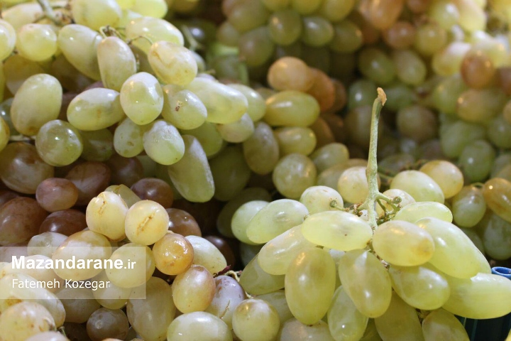 photo ۲۰۱۷ ۱۲ ۲۰ ۱۹ ۱۲ ۰۸ photo ۲۰۱۷ ۱۲ ۲۰ ۱۹ ۱۲ ۰۸