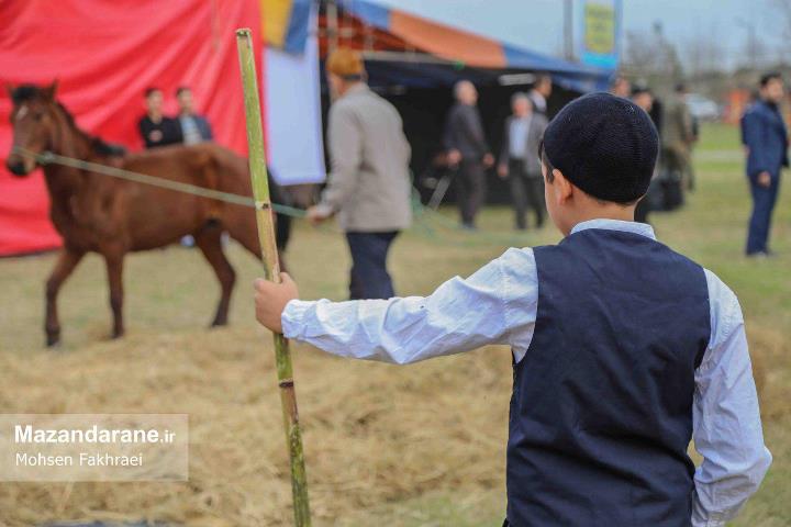 photo ۲۰۱۷ ۱۲ ۲۲ ۰۱ ۱۹ ۵۴