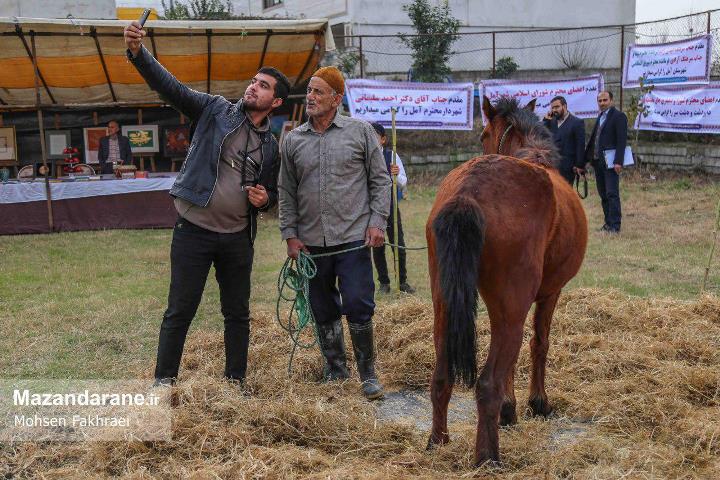 photo ۲۰۱۷ ۱۲ ۲۲ ۰۱ ۲۰ ۱۰