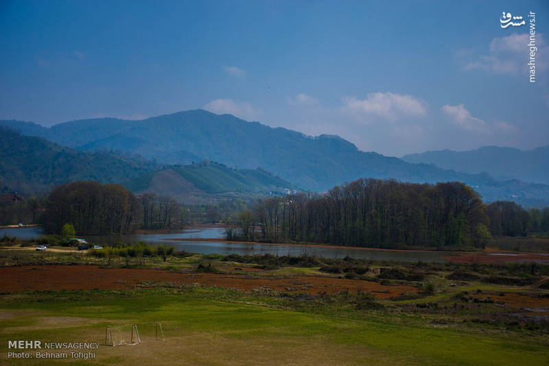 عکس/ طبیعت زیبای تالاب سوستان لاهیجان