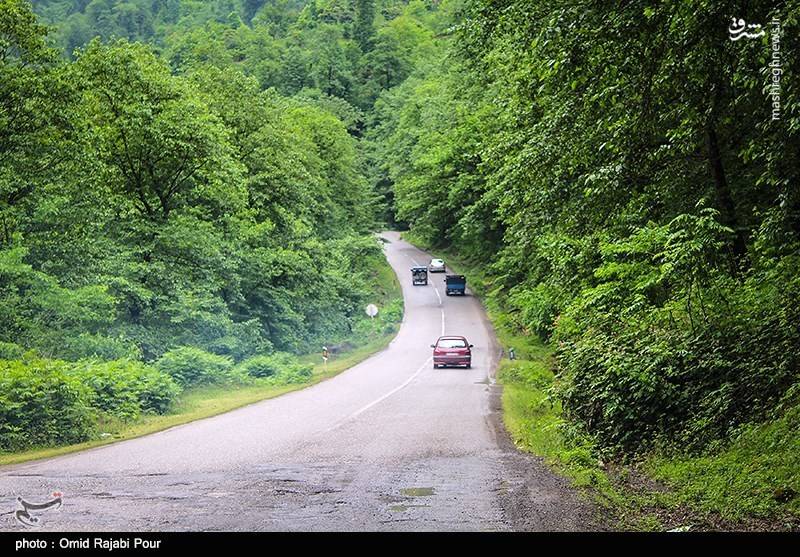 عکس/ طبیعت زیبای بهاری رودسر