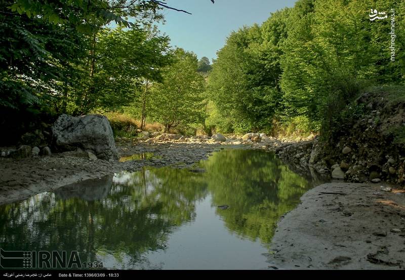 طبیعت زیبای بهاری مازندران‎