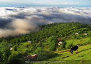 آسمان امروز مازندران نیمه ابری گاهی ابری