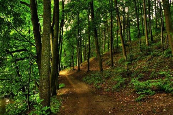 نجات خانواده گرفتار در مسیرهای انحرافی شهرستان سوادکوه شمالی