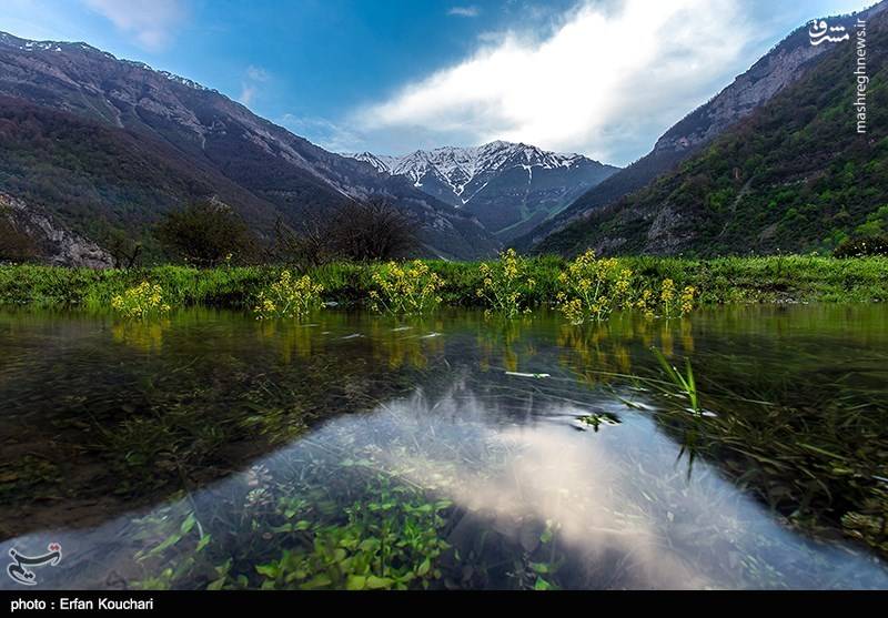 عکس/ منطقه‌ای رویایی در شمال ایران