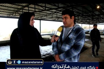 افتتاح پرورش ماهی خاویاری در روستای آهنگرکلا سفلی شهرستان آمل