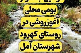 برگزاری دومین جشنواره بومی محلی آغوزروشی در روستای کهرود شهرستان آمل